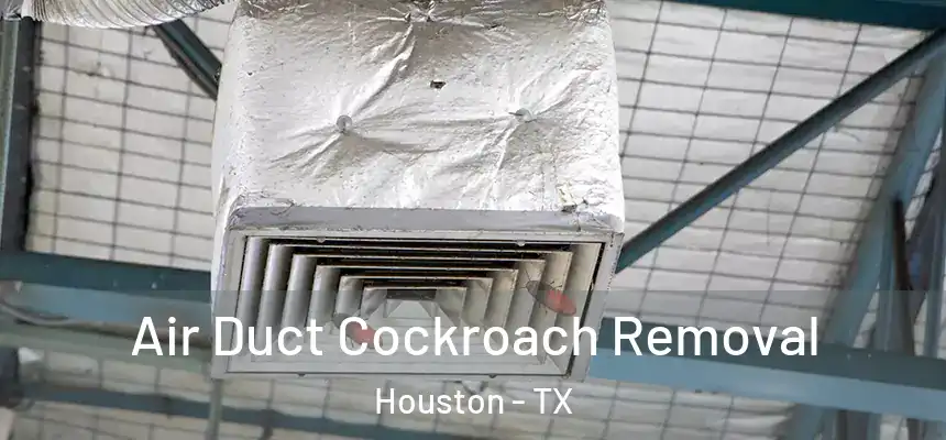 Air Duct Cockroach Removal Houston - TX