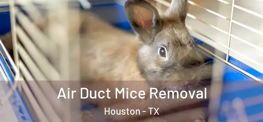 Air Duct Mice Removal Houston - TX