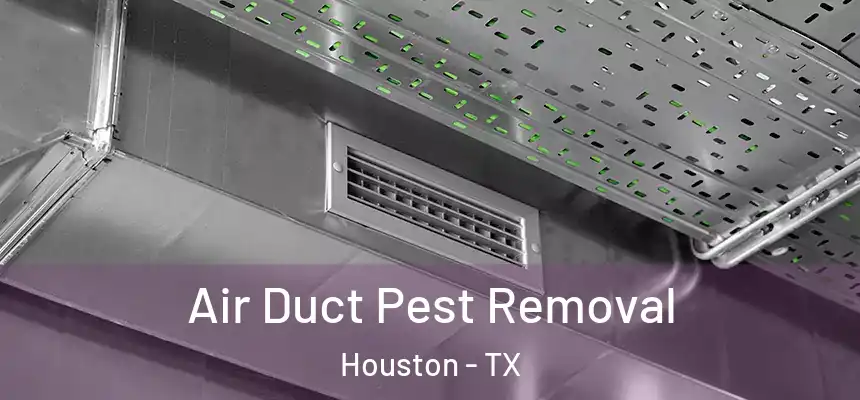  Air Duct Pest Removal Houston - TX