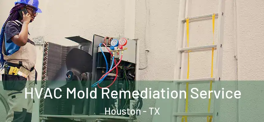 HVAC Mold Remediation Service Houston - TX