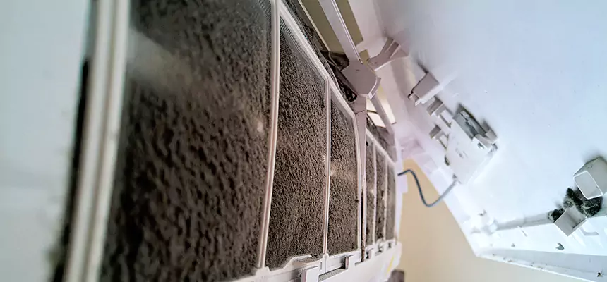 Preventive Air Duct Bacteria Removal in Houston