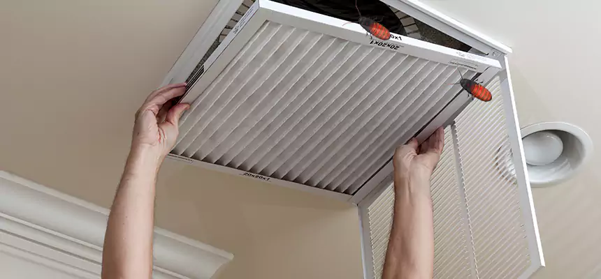 Preventive Cockroach-Proofing for Ducts in Houston