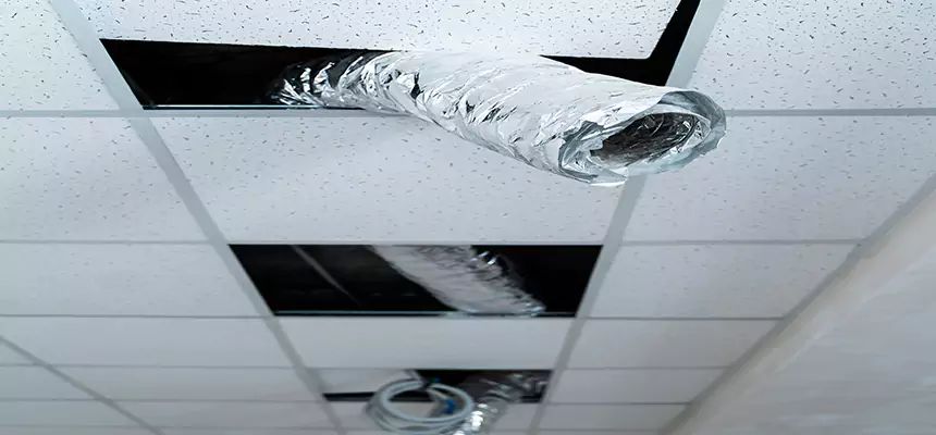 Affordable HVAC Sanitizing After Pest Removal in Houston