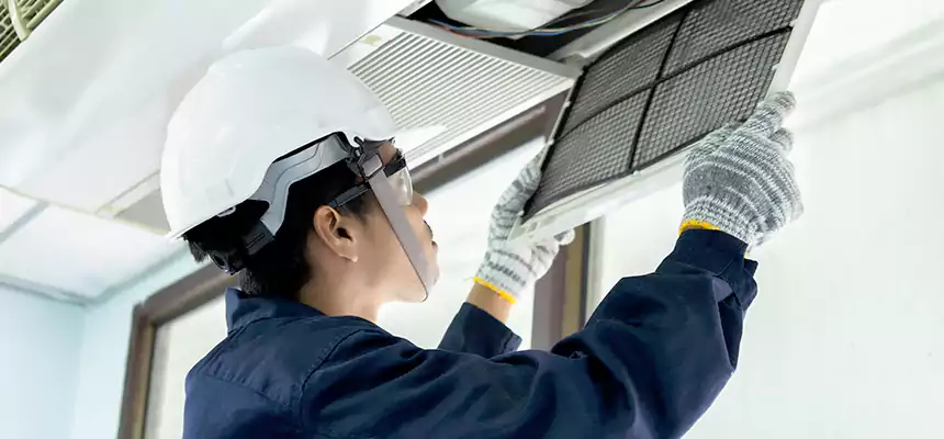 Our Mold & Mildew Removal from Air Ducts Services in Houston, TX