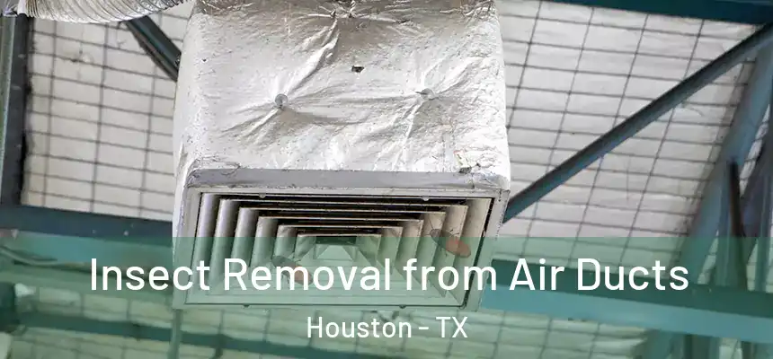 Insect Removal from Air Ducts Houston - TX