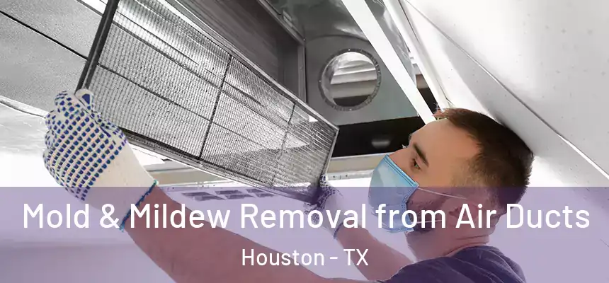 Mold & Mildew Removal from Air Ducts Houston - TX