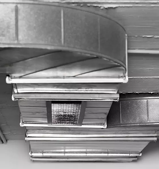 Professional Air Duct Pest Removal in Houston, TX