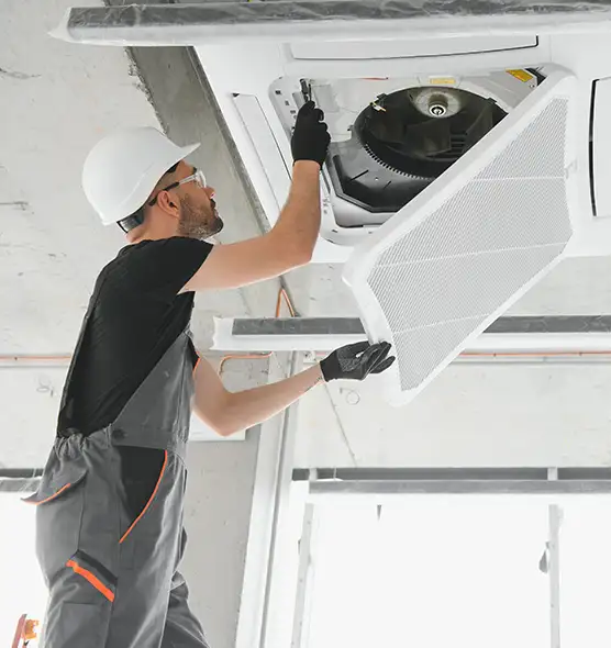 About Air Duct Rodent Removal in Houston, TX