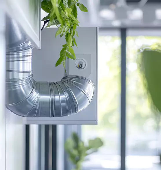 Professional Eco-Friendly Duct Cleaning Services in Houston, TX