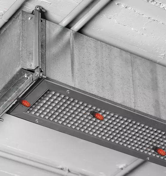 Affordable Insect Removal from Air Ducts in Houston, TX