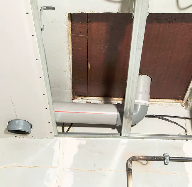 Why Homeowners & Businesses Trust Us in Houston, TX?