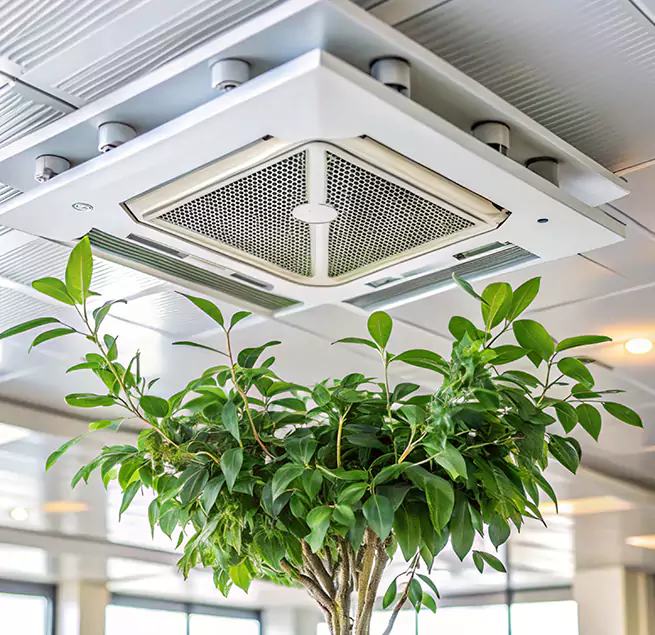 Why Homeowners & Businesses Trust Us in Houston, TX?