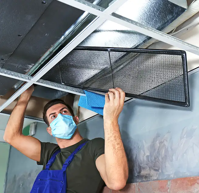 Why Homeowners & Businesses Trust Us in Houston, TX?